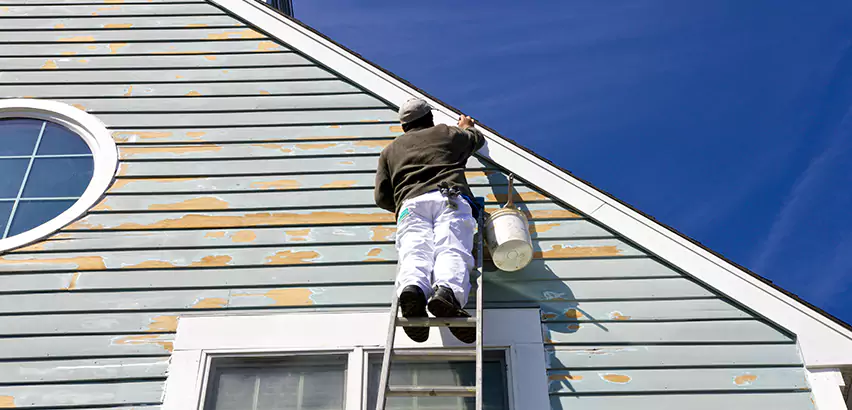Professional Roof and Siding Repair Services in Cottage Grove, WI