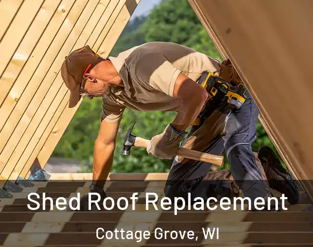  Shed Roof Replacement Cottage Grove, WI